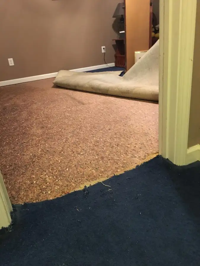 Carpet pad removal revealing water damage during Water Mitigation Services in Willowbrook