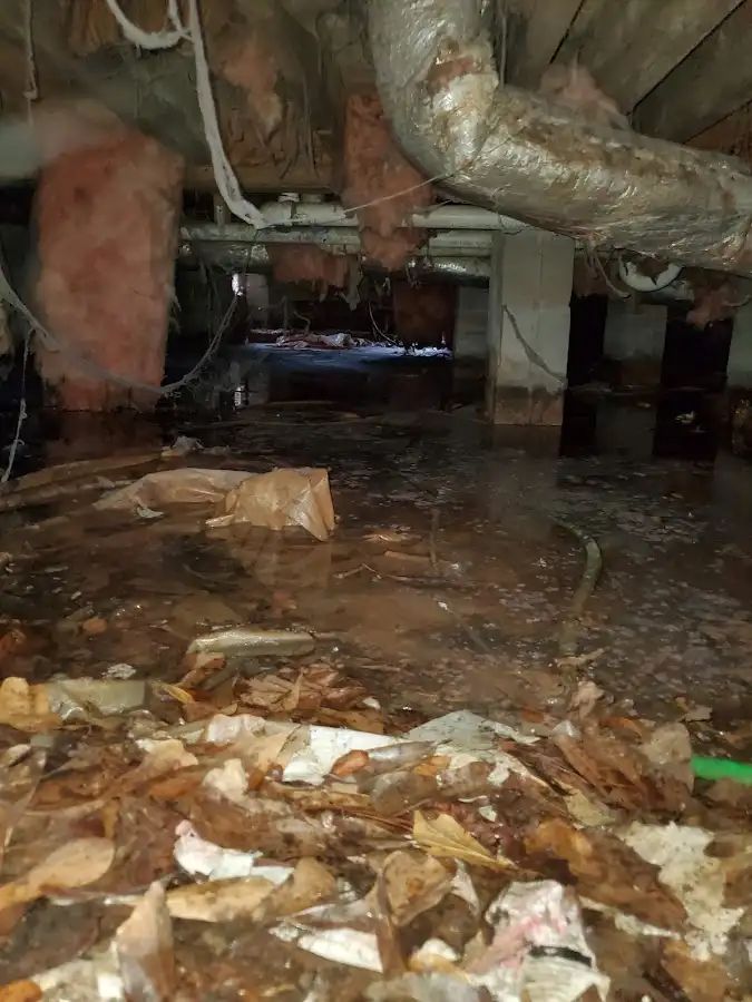 Crawl space flood assessment for Commercial Water Damage Restoration in Willowbrook