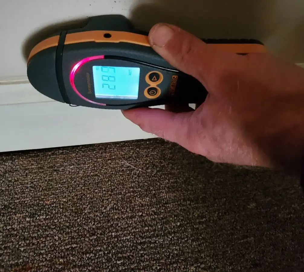 Moisture detection at baseboard during Sewage Cleanup & Sanitation in Willowbrook